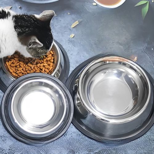Gamelle pour chat - Comment choisir la gamelle parfaite pour votre félin