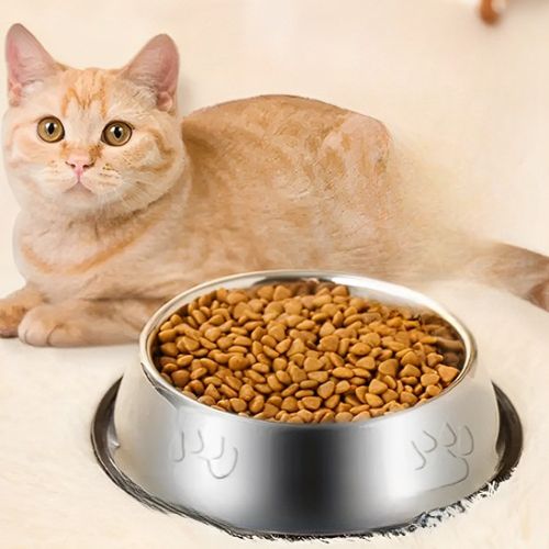 Gamelle pour chat - Grande taille