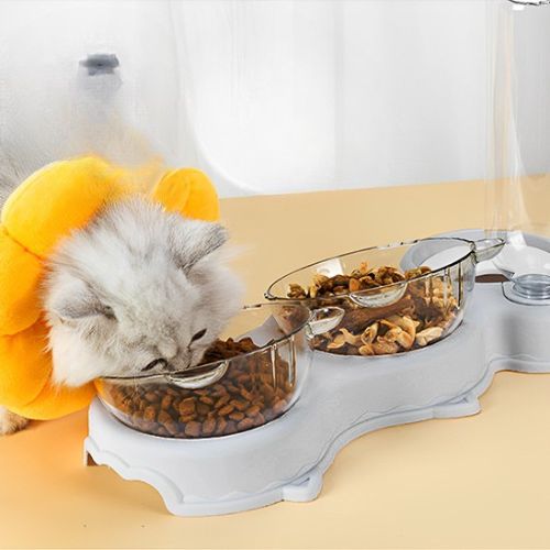 Gamelle pour chat - Les matériaux qui font la différence