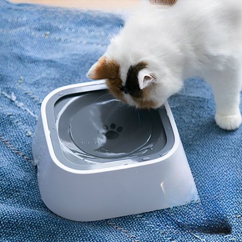 Gamelle pour chat - Matériau et conception