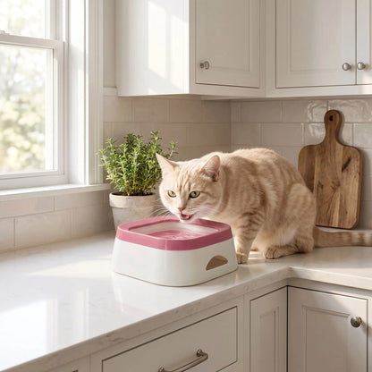 Gamelle pour chat - Rose