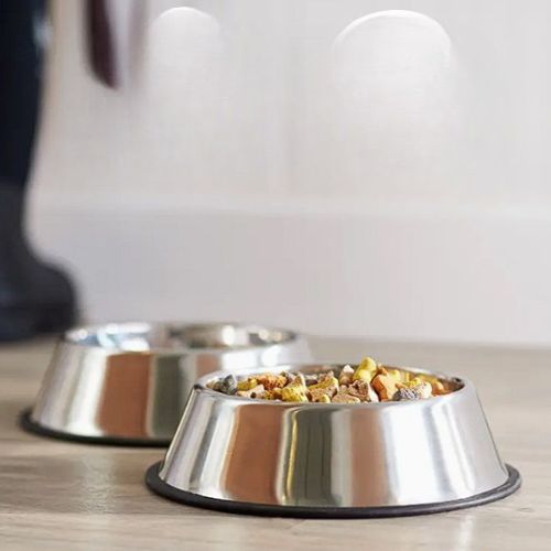 Gamelle pour chat - Taille moyenne