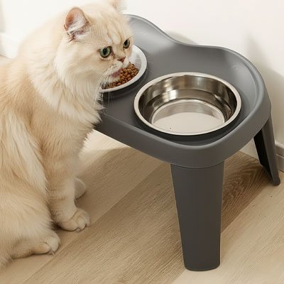 Elevated cat bowl - No more trips back and forth between water and food