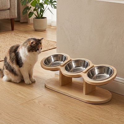 Gamelle surélevée chat - Le confort quotidien que votre félin mérite 