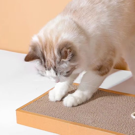 Grattoir chat - Economisez en remplacement de meubles
