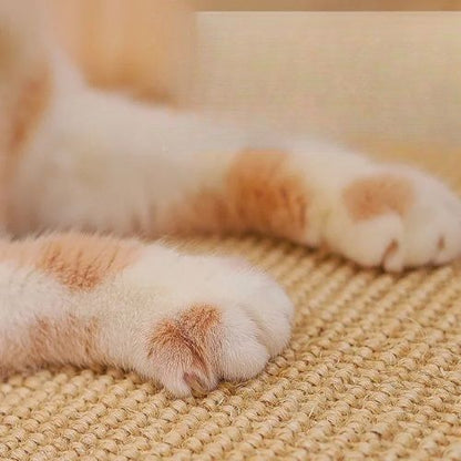 Grattoir chat - Ne_fait_pas_mal_aux_griffes