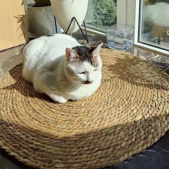 Grattoir chat - Gris