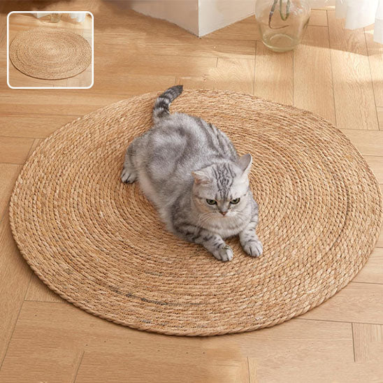 Grattoir chat - PAILLASSONPOURCHAT™ - CHATS - Gris