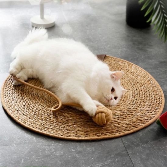 Grattoir chat - PAILLASSONPOURCHAT™ - CHATS