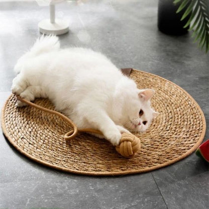 Grattoir chat - PAILLASSONPOURCHAT™ - CHATS