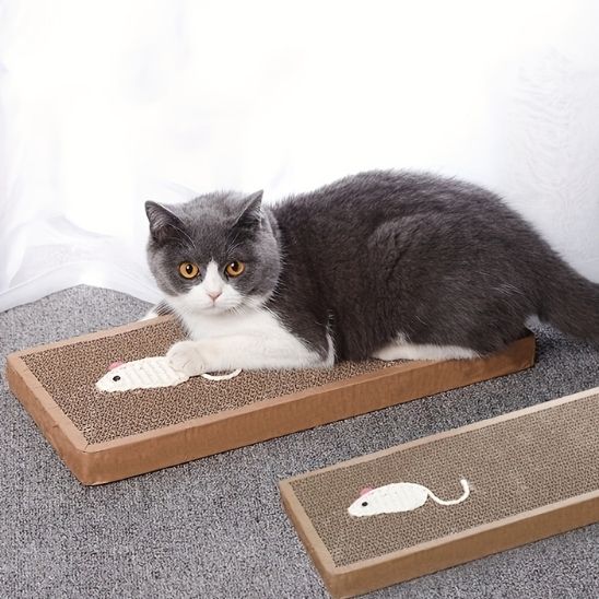 Grattoir chat - Réduire_les_dégâts_sur_vos_meubles