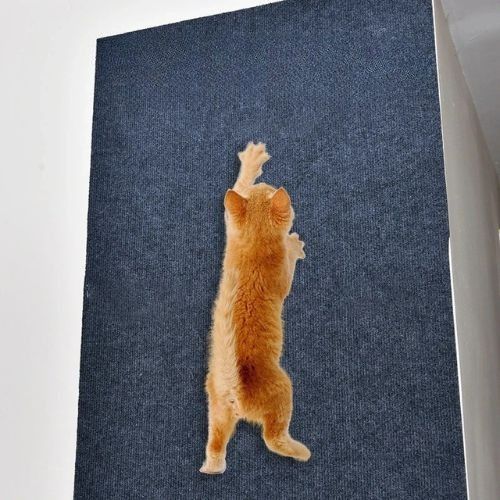 Griffoir chat - Autocollant_pour_chats_grimpants