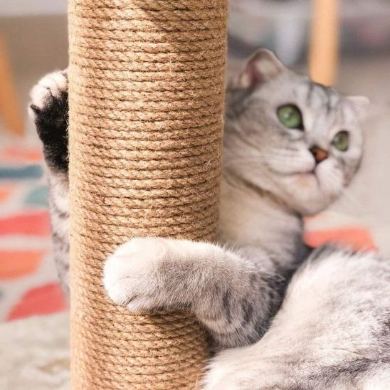 Griffoir chat - POTEAUPOURCHAT™ - CHATS - Jaune