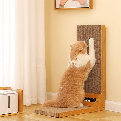 Griffoir chat - Un accessoire qui protège votre intérieur tout en offrant à votre félin l'espace dont il rêve