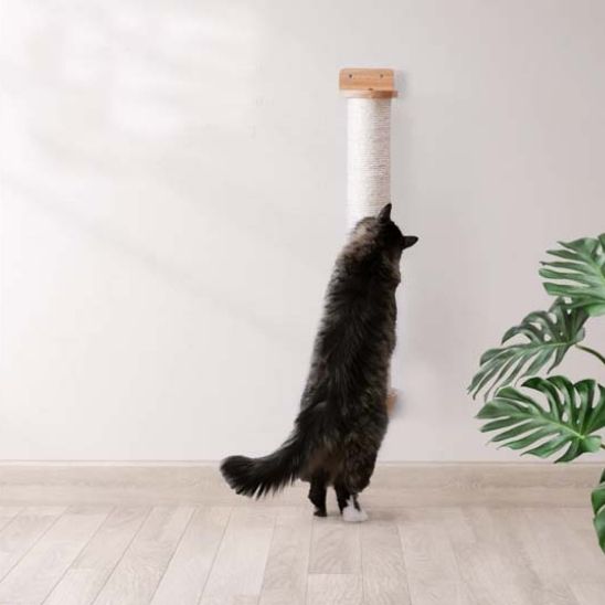 Griffoir pour chat - Durabilité garantie