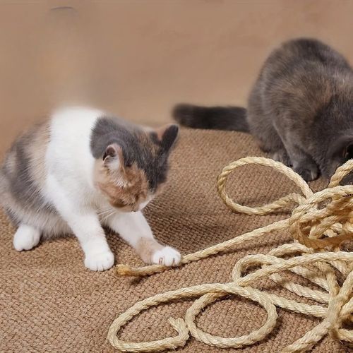 Griffoir pour chat - Votre félin adore le sisal naturel
