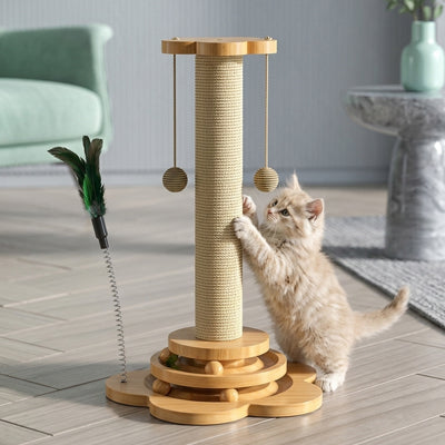 Griffoire chat - Instincts de griffures