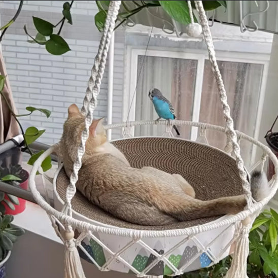 Hamac à chat - Antistress