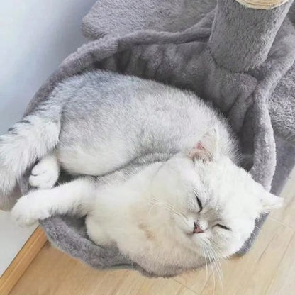 Hamac pour chat - Adieu aux poils partout et aux meubles abimés dans votre maison