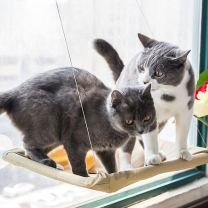 Hamac pour chat fenetre - Investissement pour le bien-être