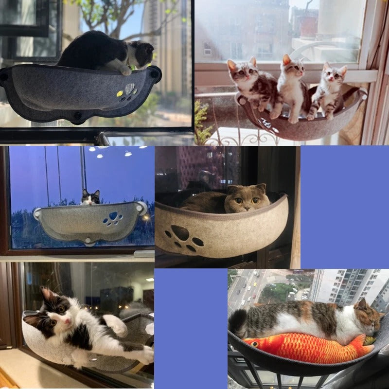 Hamac pour chat fenetre - Lien affectif renforcé