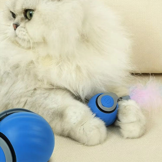 Jouet chat interactif -Autonome pour les longues absences
