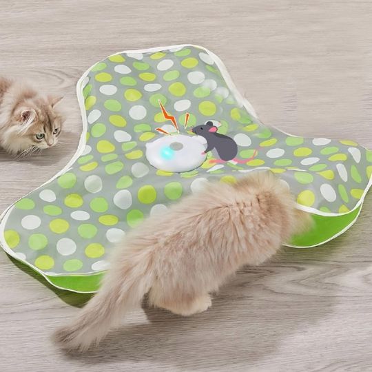 Jouet chat interactif - Pourquoi choisir ce jouet chat interactif automatique