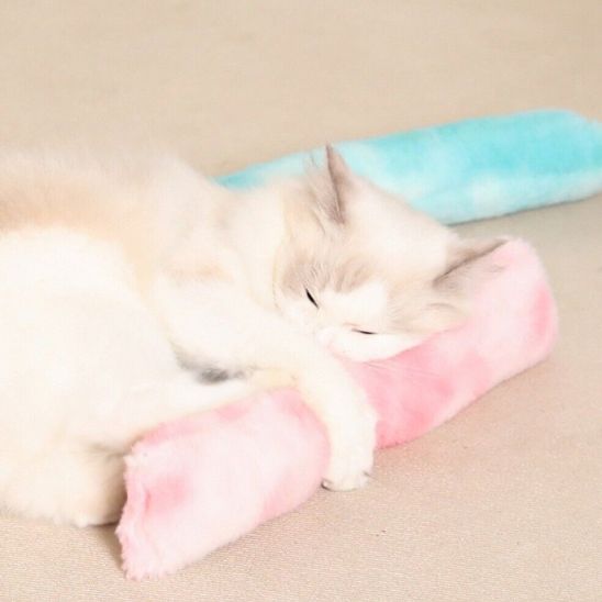 Jouet chat interactif - Stimulez l'instinct naturel de votre félin
