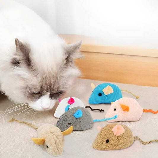 Jouet chat interactif - Une stimulation instinctive qui transforme leur quotidien