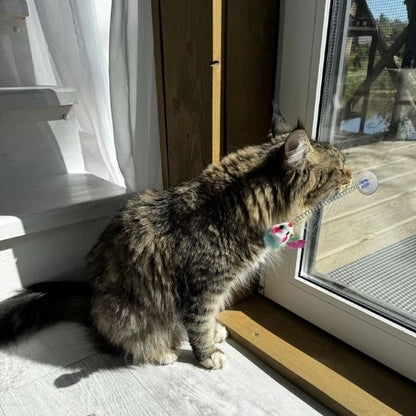 Jouet chat interactif - Caractéristiques