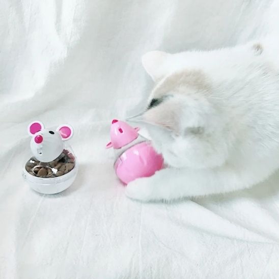 Jouet chat interactif - La solution anti-ennui qui préserve votre intérieur