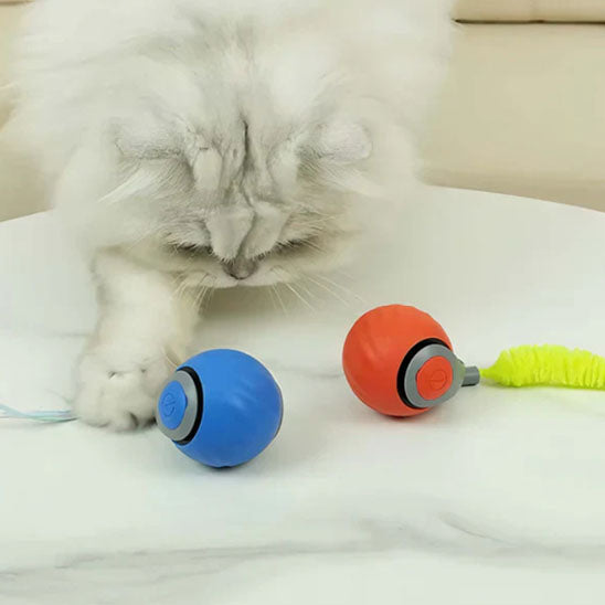 Jouet chat interactif -  Réinventez le jeu félin