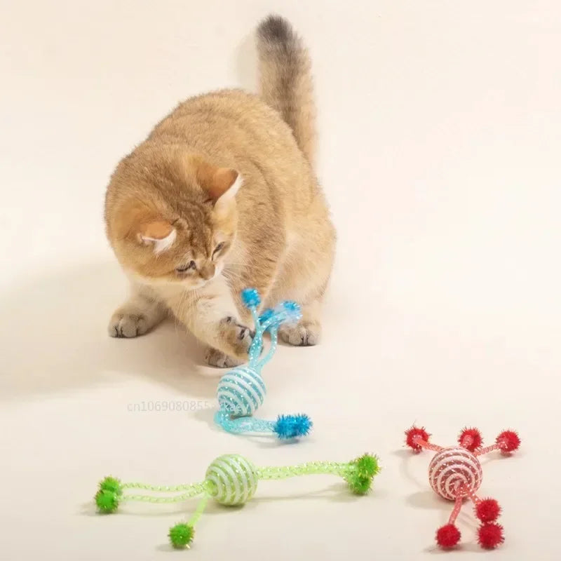 Jouet chat interactif - Redonnez vie aux instincts chasseurs de votre matou