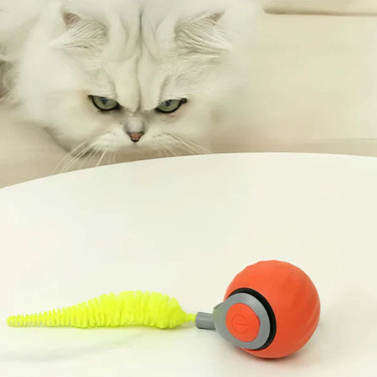 Jouet chat interactif - Renforcez votre complicité grâce au jouet chat interactif partagé