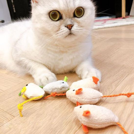 Jouet chat interactif - Souris en peluche pour divertir votre félin