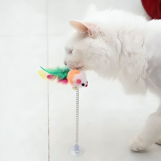 Jouet chat interactif - Un exercice physique quotidien contre l'obésité féline