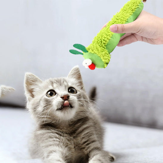 Jouet chat interactif - Un investissement pour le bonheur félin
