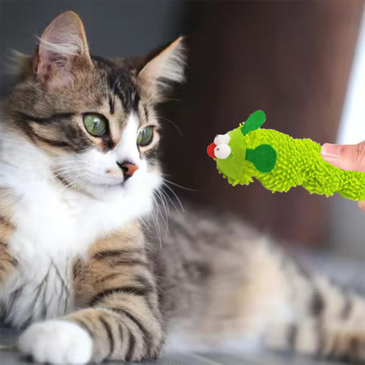 Jouet chat interactif en forme de chenille - Stimule l'instinct naturel