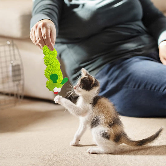 Jouet chat interactif innovant  - Une stimulation complète pour chats exigeants