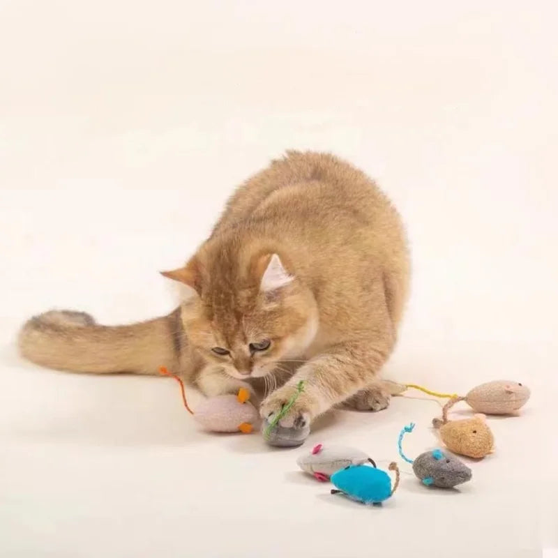 Jouet pour chat -Idéal contre l'ennui et les comportements destructeurs