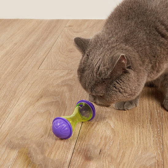 Jouet pour chat -Renforcez votre lien affectif au quotidien
