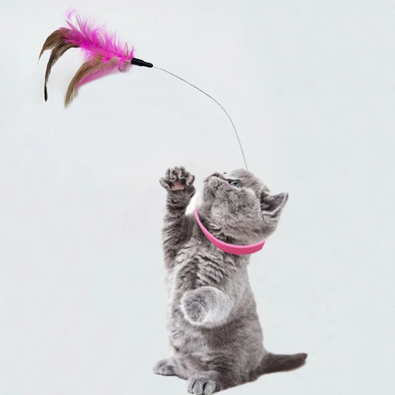 Jouet pour chat - Rose