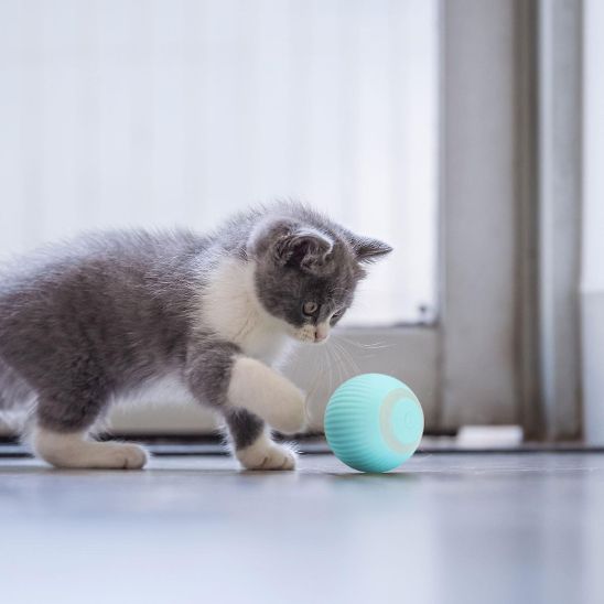 Jouet pour chat - Balle bleue
