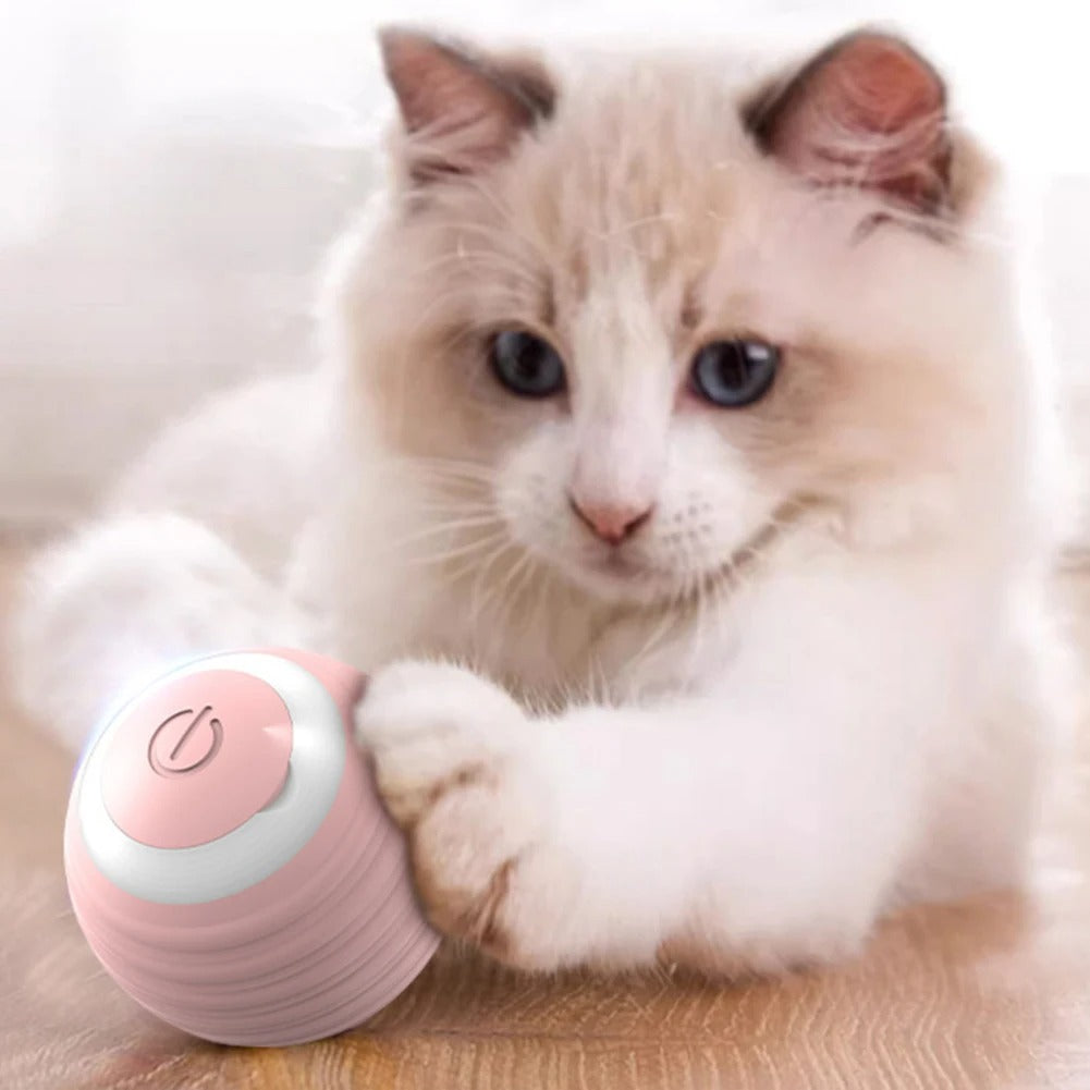 Jouet pour chat - Balle rose