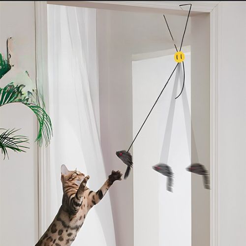Jouet pour chat - SUSPENDUPOURCHAT™