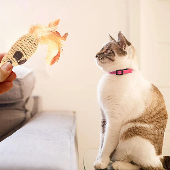 Jouet pour chat - Combat l'anxiété et l'ennui quotidien de votre félin