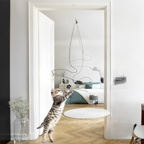 Jouet pour chat - Comment ce jouet pour chat transforme votre relation 