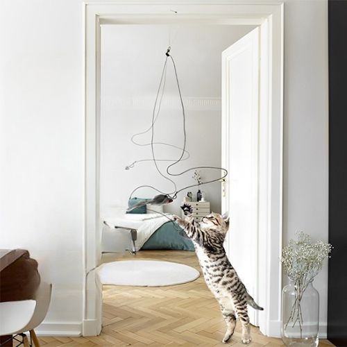 Jouet pour chat - Comment ce jouet pour chat transforme votre relation