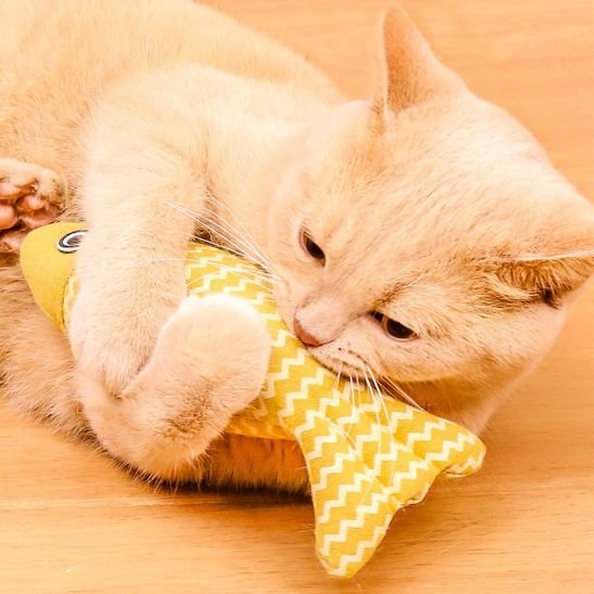 Jouet pour chat - Design réaliste qui fascine votre félin