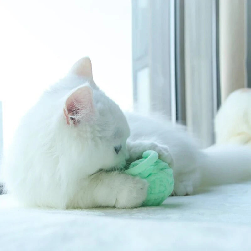 Jouet pour chat - Favoriser l'activité physique quotidienne